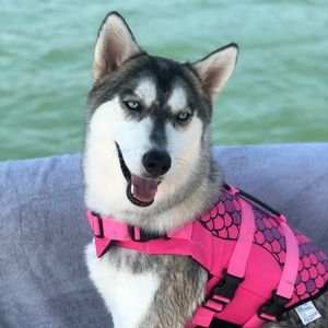 Meet your Posher, Susan